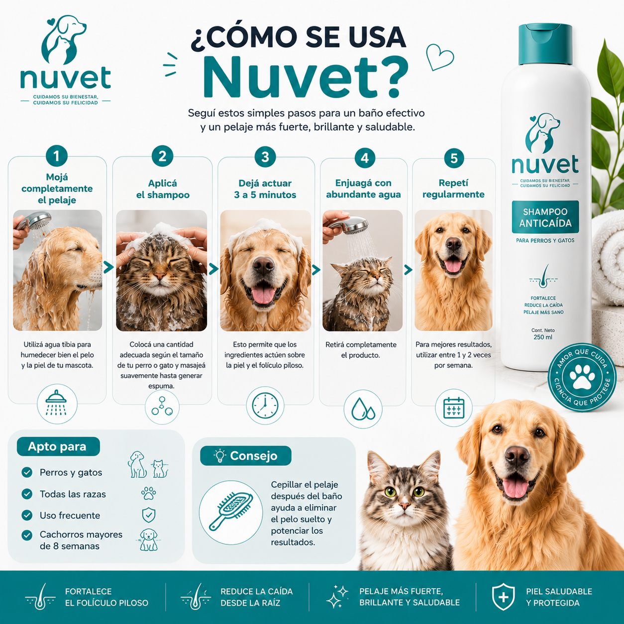 SHAMPOO ANTICAIDA Y FORTALECIMIENTO 2 EN 1
